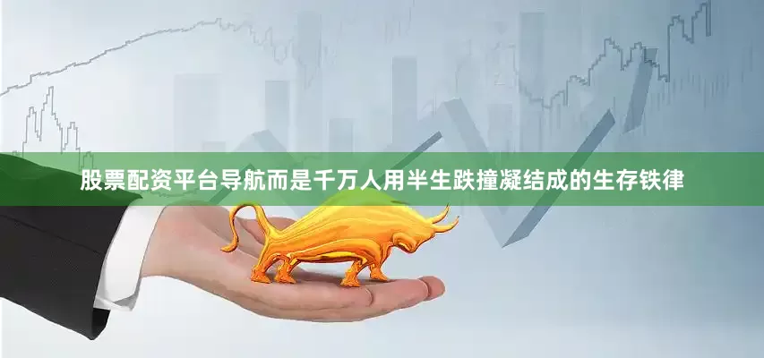 股票配资平台导航而是千万人用半生跌撞凝结成的生存铁律
